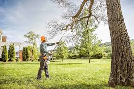 Best Lawn Renovation and Restoration  in Oak Trail Shores, TX