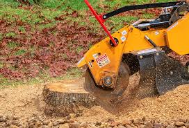 Best Lot and Land Clearing  in Oak Trail Shores, TX