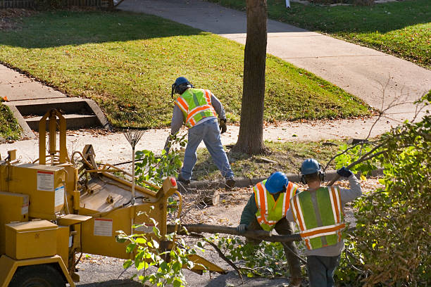 Mulching Services in Oak Trail Shores, TX